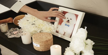 Ȱ���̹���